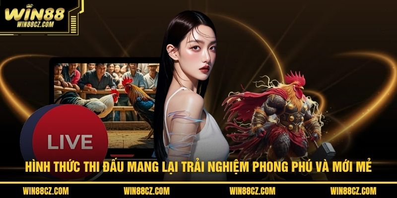 Hình thức thi đấu mang lại trải nghiệm phong phú và mới mẻ