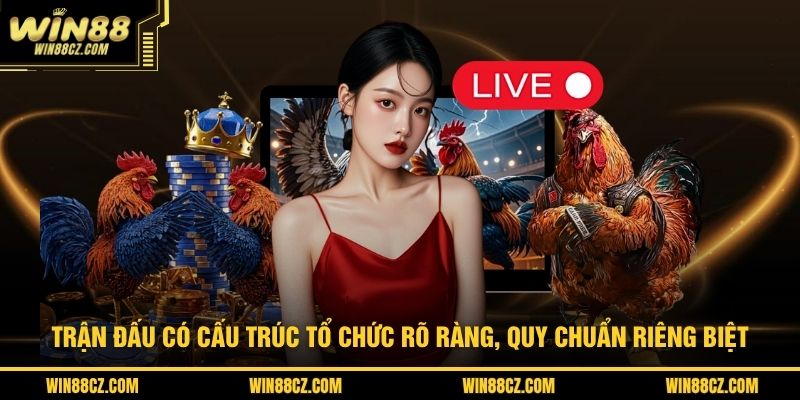 Trận đấu có cấu trúc tổ chức rõ ràng, quy chuẩn riêng biệt